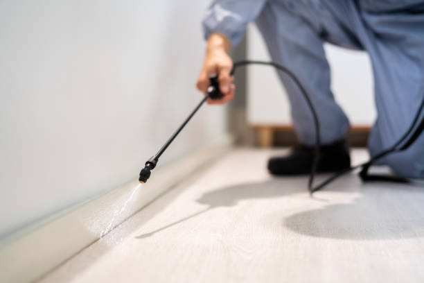 Licensed Cockroach Control service in Tishomingo, OK - Nex Pest Control