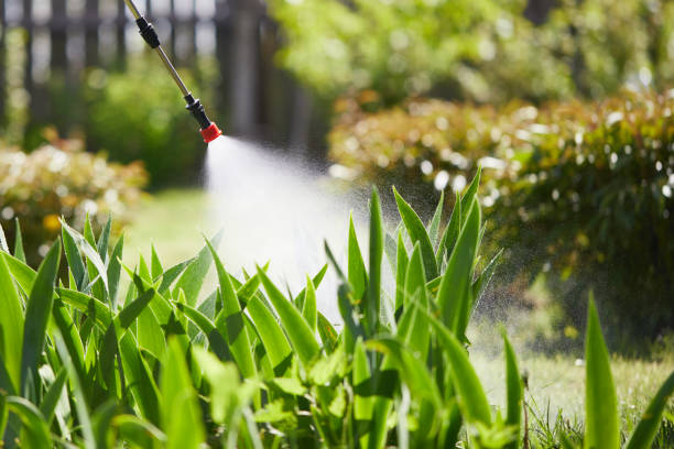 24/7 Emergency Cockroach Control experts in Tishomingo, OK