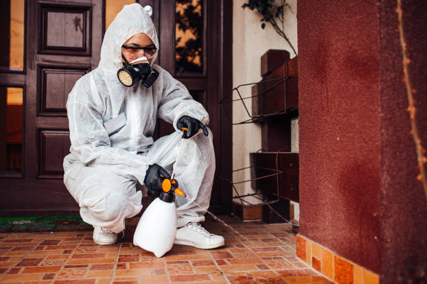 Reliable Cockroach Control contractor in Tishomingo, OK by Nex Pest Control