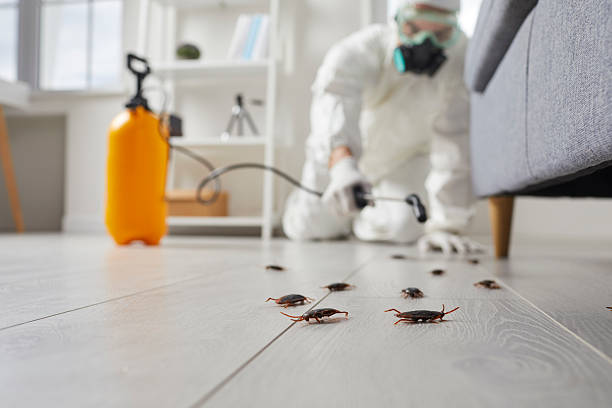 Trusted Cockroach Control service in Tishomingo, OK - Nex Pest Control
