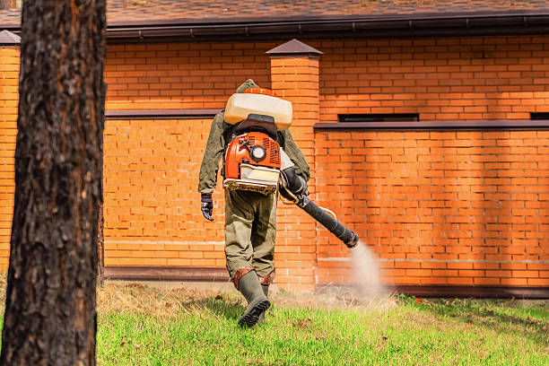 Trusted Termite Control service in Tishomingo, OK - Nex Pest Control